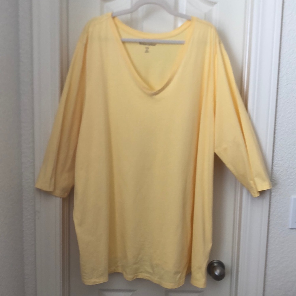 Woman Within Woman’s 4X Pastel Yellow Blouse